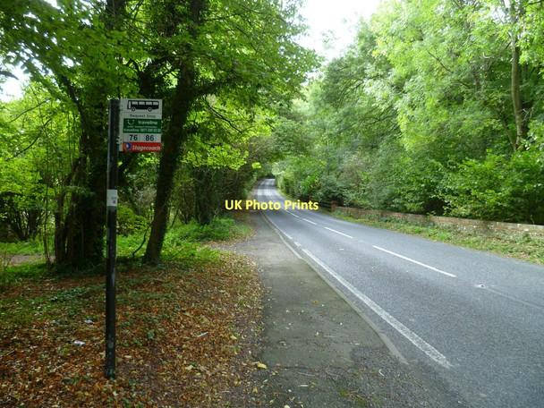 Photo 6"x4" Bus stop on Rotten Hill at Laverstoke Lynch\/SU5049 c2011