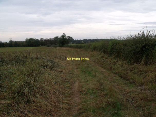 Photo 6"x4" Track at the end of Eastbeck lane Mareham on the Hill c2011