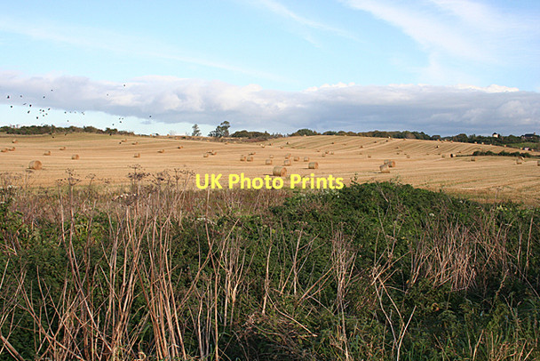 Photo 6"x4" Near Auldearn Auldearn c2011
