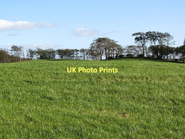 Photo 6"x4" Pasture, Boagstown Avonbridge c2011