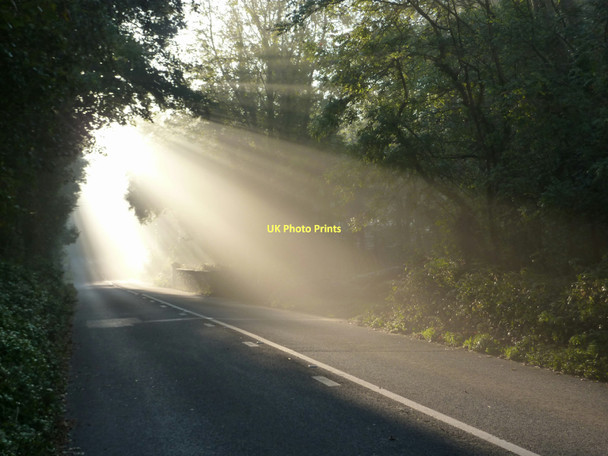 Photo 6"x4" Shafted light in the misty morning, Kennels Road, Lupton Lodge Churston Ferrers c2011