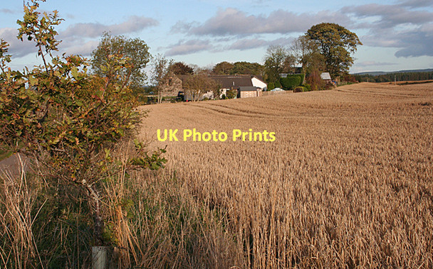 Photo 6"x4" Wester Golford Whitemire\/NH9754 c2011