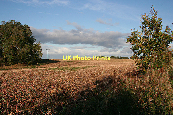 Photo 6"x4" Tattie Field Whitemire\/NH9754 c2011