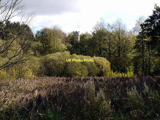 Photo 6"x4" Fen Carr, Hardwick Hall Country Park Sedgefield c2011
