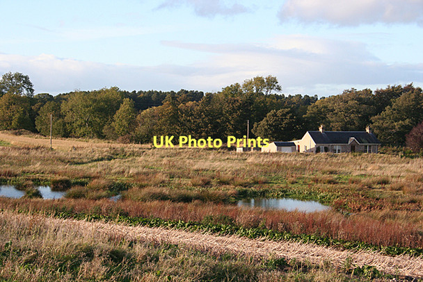 Photo 6"x4" A New Pond Whitemire\/NH9754 c2011
