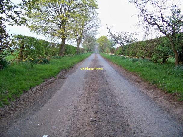 Photo 6"x4" Single Track Road Near Lambden Lambden c2011