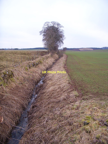 Photo 6"x4" Burn Near Crumrig Lambden c2011