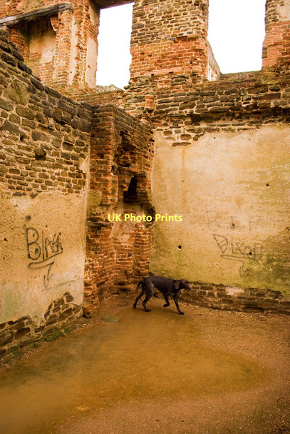 Photo 6"x4" Interior View Houghton House Ampthill c2011