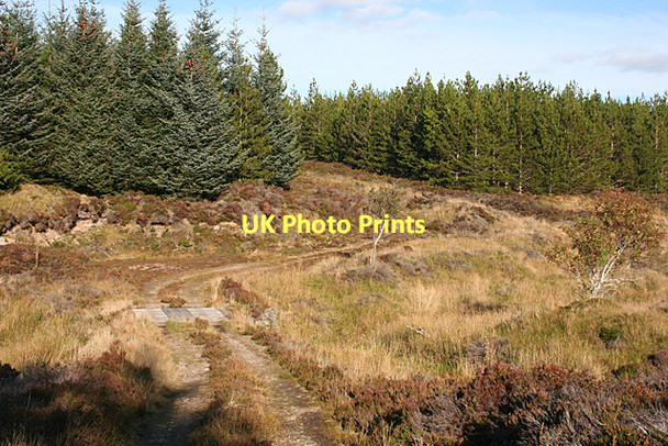 Photo 6"x4" Mannoch Road Stripe of Loan c2011