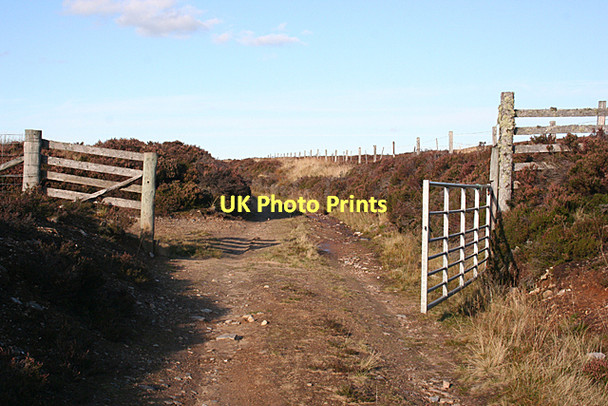 Photo 6"x4" Gate on the Mannoch Road Moss of Birnie c2011