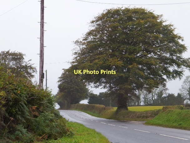 Photo 6"x4" Road junction at Harlyn East Week c2011