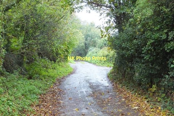Photo 6"x4" Minor road to Dishcombe from Addiscott East Week c2011