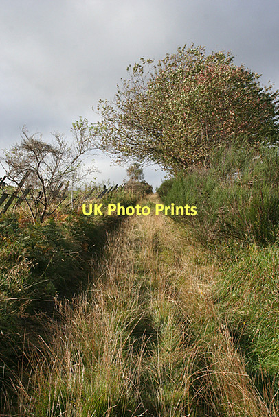 Photo 6"x4" Old Road Rothes c2011