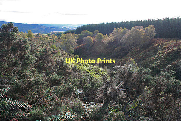 Photo 6"x4" Glen Grant Rothes c2011