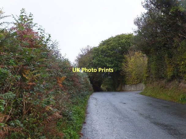 Photo 6"x4" The road to Sticklepath Ramsley c2011