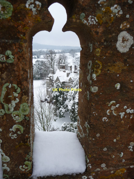 Photo 6"x4" Staple Fitzpaine Manor Staple Fitzpaine c2009