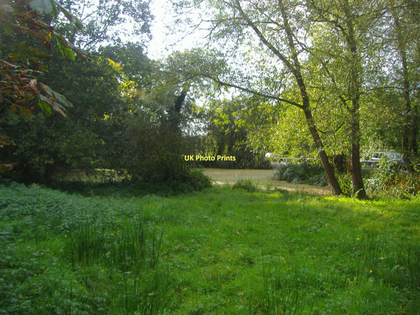 Photo 6"x4" Small pond on Totteridge Lane Barnet c2008