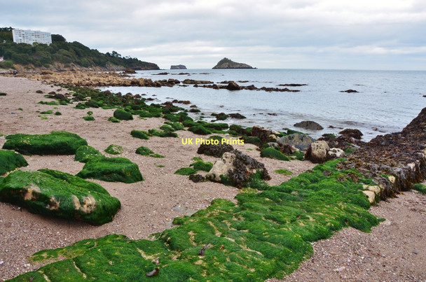Photo 6"x4" Torquay: Meadfoot Beach Torquay c2011