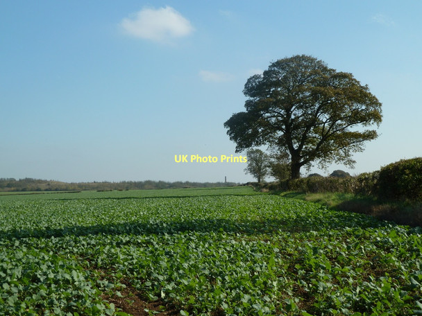 Photo 6"x4" Field by Field Lane near Rowthorne Rowthorne c2011