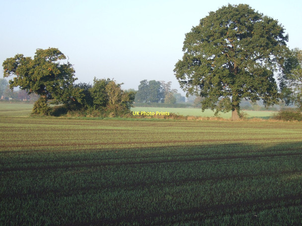 Photo 6"x4" Farmland near Bishopthorpe Bishopthorpe\/SE5947 c2011