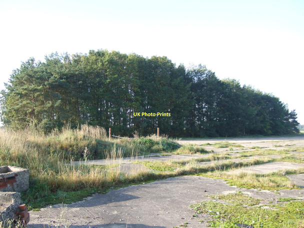 Photo 6"x4" Woodland on former airfield Acaster Selby c2011