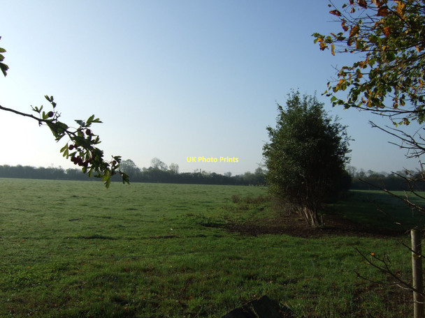 Photo 6"x4" Farmland off Acaster Avenue Acaster Selby c2011