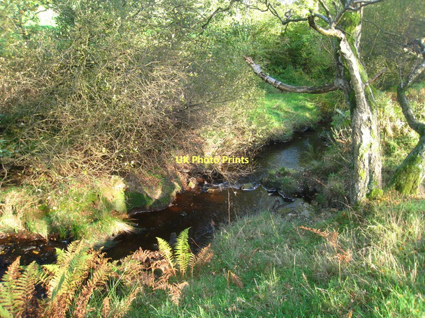 Photo 6"x4" Hamer Beck Rosedale Abbey c2011