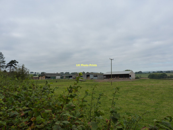 Photo 6"x4" Outbuildings at the rear of Oakham Farm Longville in the Dale c2011