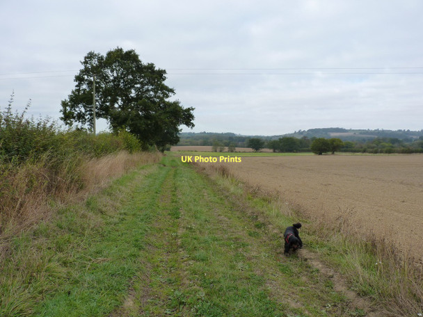 Photo 6"x4" Permissive path in the fields west of Lushcott Lushcott c2011