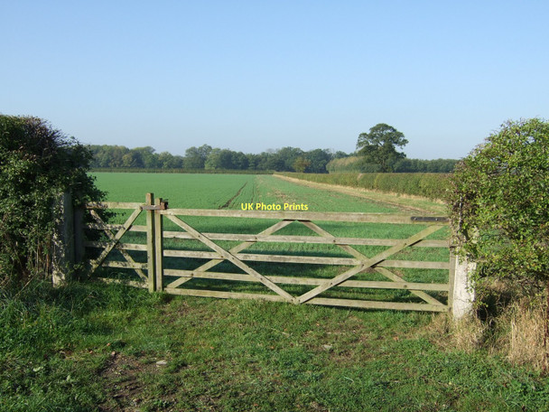 Photo 6"x4" Field entrance off Dam Lane Holme Green\/SE5541 c2011