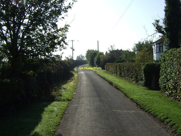 Photo 6"x4" Marsh Lane heading south Bolton Percy c2011