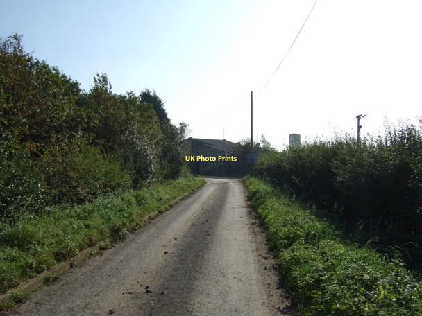 Photo 6"x4" Ouston lane towards sewage works Tadcaster c2011