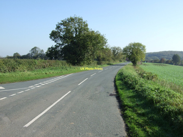 Photo 6"x4" Weedling Gate towards Stutton Tadcaster c2011