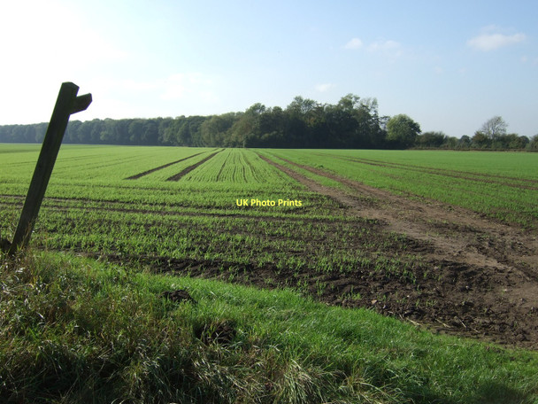 Photo 6"x4" Footpath off Catterton Lane Tadcaster c2011