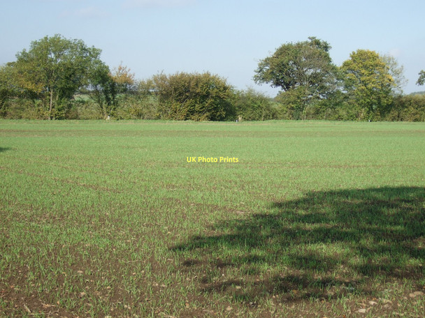Photo 6"x4" Farmland off Catterton Lane Catterton c2011