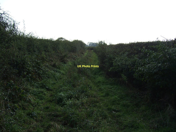 Photo 6"x4" Bridleway running south of Moor Lane Street Houses\/SE5245 c2011