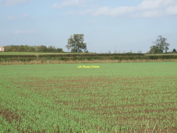 Photo 6"x4" Farmland near Bilbrough Bilbrough c2011