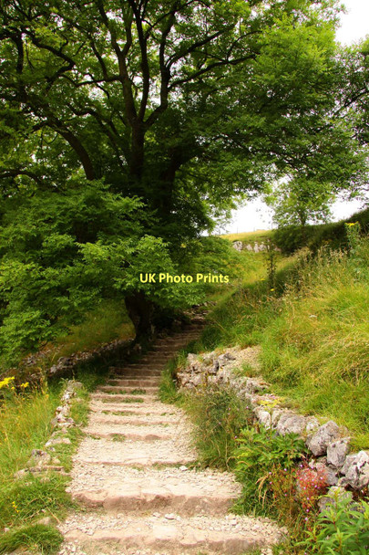Photo 6"x4" Steps to the top of Malham Cove Malham\/SD9062 c2011