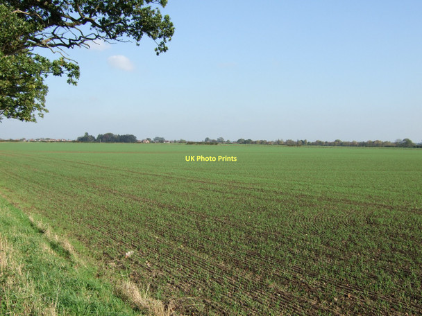Photo 6"x4" Farmland near Copmanthorpe Copmanthorpe c2011