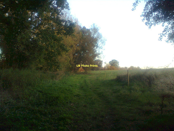 Photo 6"x4" Along a bridle path Milcombe\/SP4134 c2011