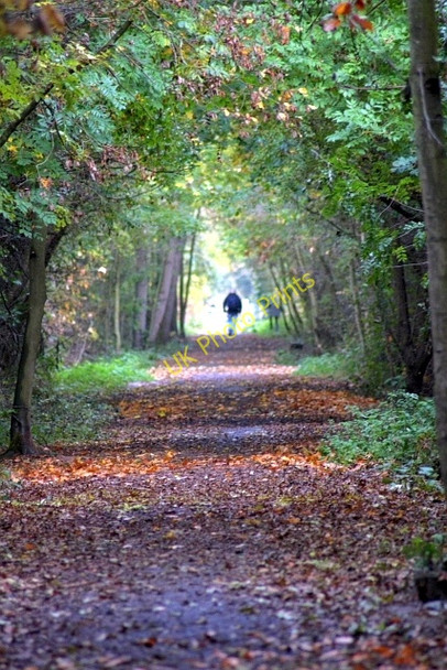 Photo 6"x4" Castle Eden Walkway Grindon\/NZ3925 c2009