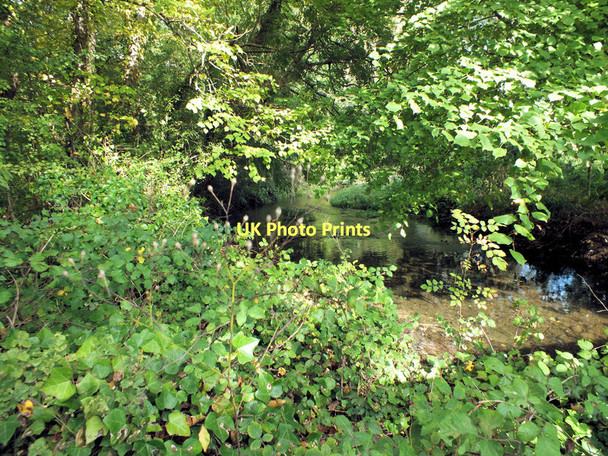Photo 6"x4" Looking downstream Bishopstone\/SU0725 c2011
