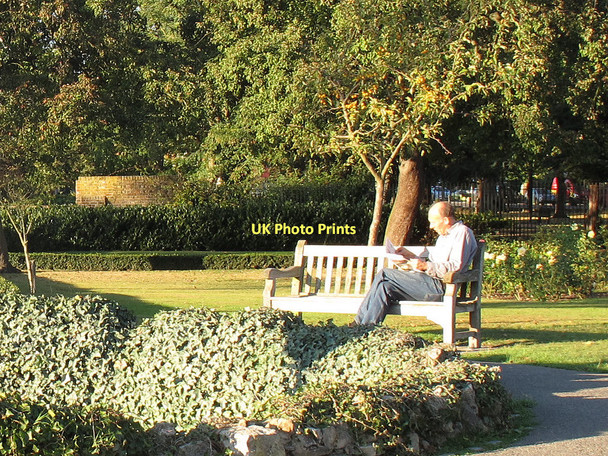 Photo 6"x4" Reading in the park Eltham c2011