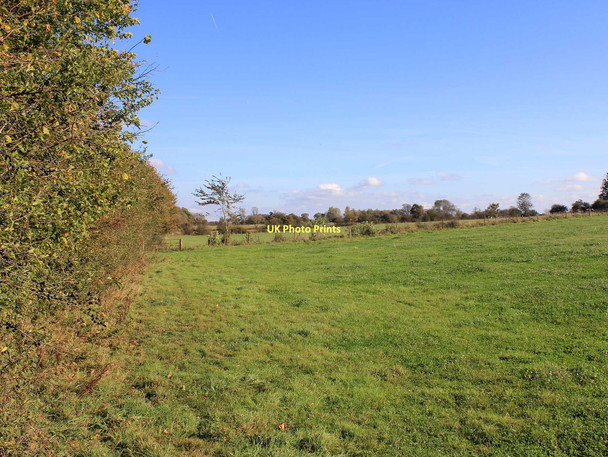 Photo 6"x4" Footpath to Willesley Knockdown c2011