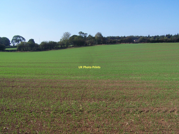 Photo 6"x4" Footpath From Brockhurst Farm Hints\/SK1502 c2011