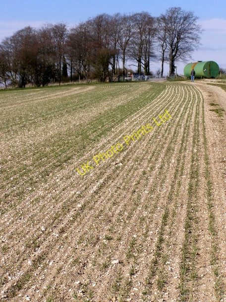 Photo 6"x4" Warren Lane approaching the A272 at Cheesefoot Head Lane End\/SU5525 c2006