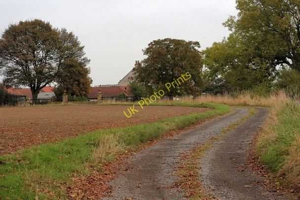Photo 6"x4" Woodend Farm Grindon\/NZ3925 c2009