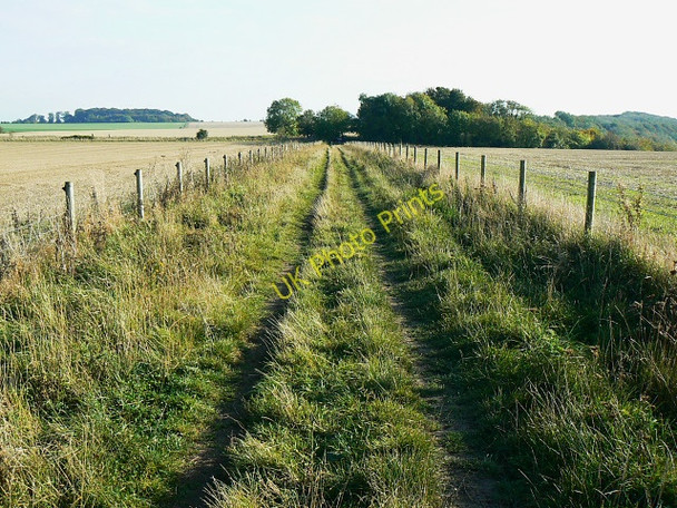 Photo 6"x4" Bridleway to Roundway Hill Covert, Bromham CP Roundway c2009