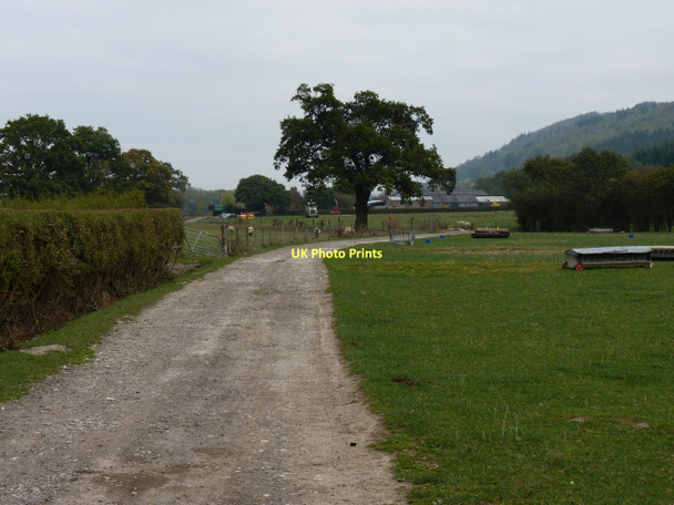 Photo 6"x4" The track towards Wood Farm Lushcott c2011