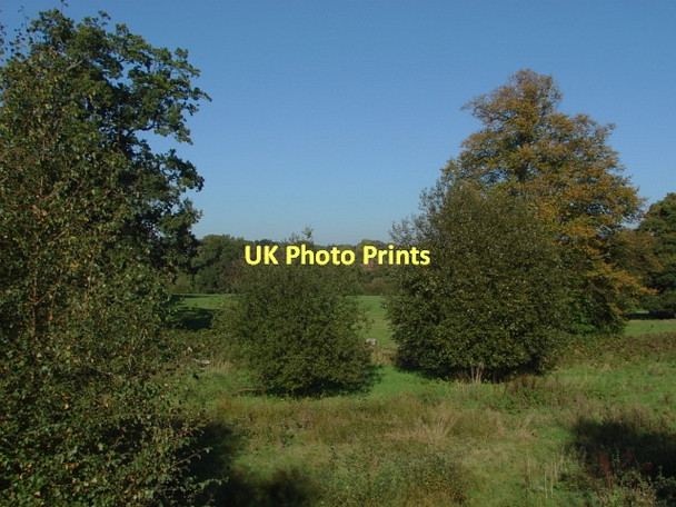 Photo 6"x4" Bagshot Park Bagshot\/SU9163 c2011